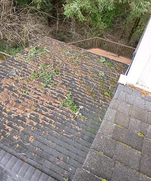 Roof Cleaning in Centralia 